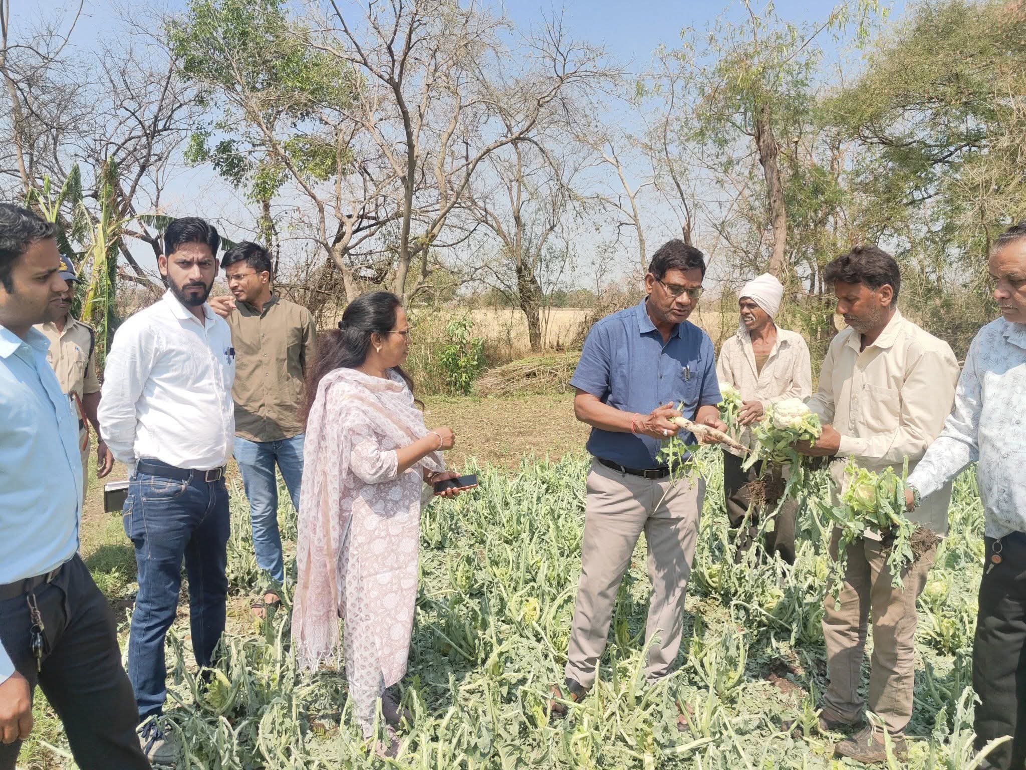 Additional News Image