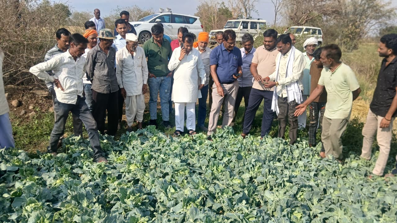 ओलावृष्टि से प्रभावित फसलों का विधायक चंद्रशेखर देशमुख ने किया निरीक्षण, प्रशासनिक अधिकारियों  को शीघ्र बर्बाद फसलों क़े सर्वे के दिए निर्देश posted by Mohammad Afsar  from Multai