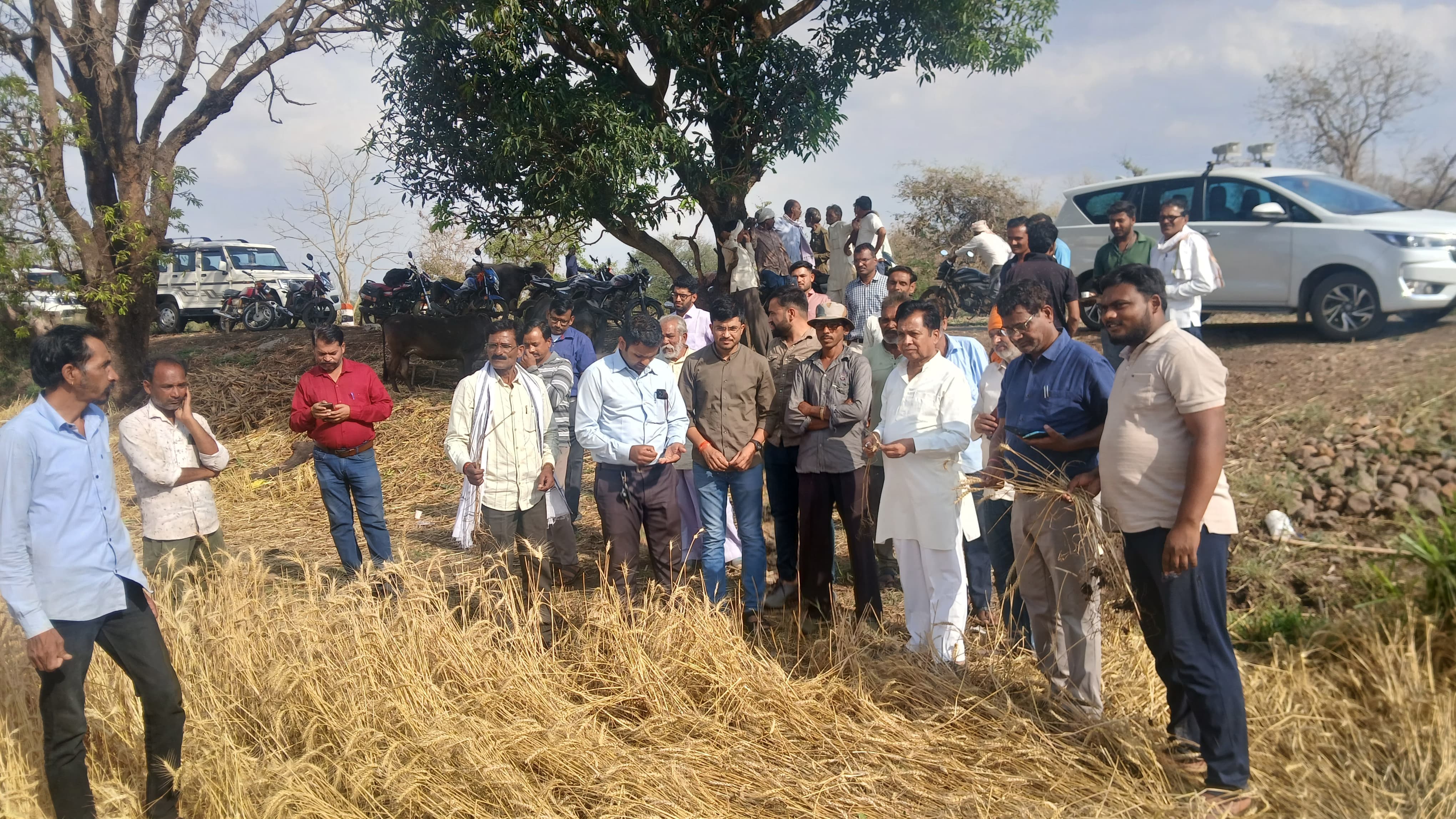 Additional News Image