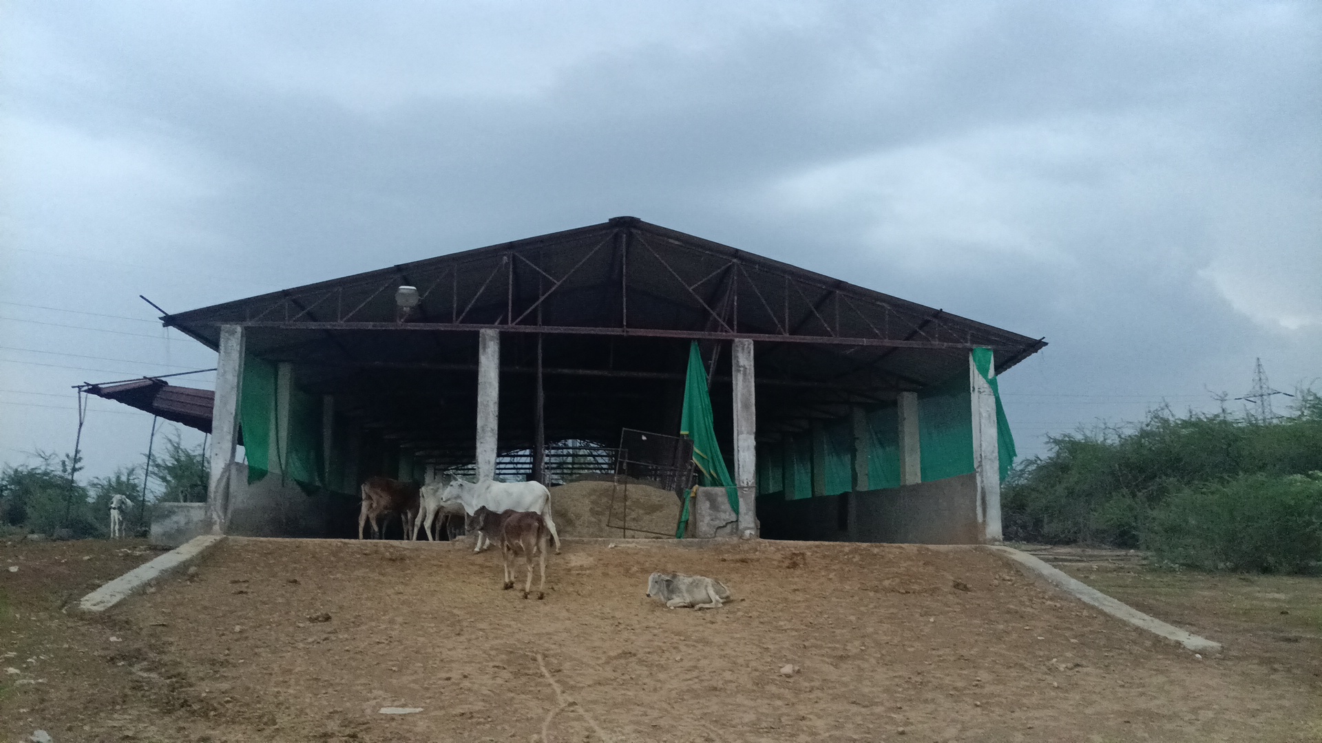 गौशाला में गंदगी और भूख से जूझता गौवंश, कर्मचारी भी बेहाल — नगर पालिका डबरा पर उठे गंभीर सवाल” posted by Hemant Upadhyay  from Bhitarwar