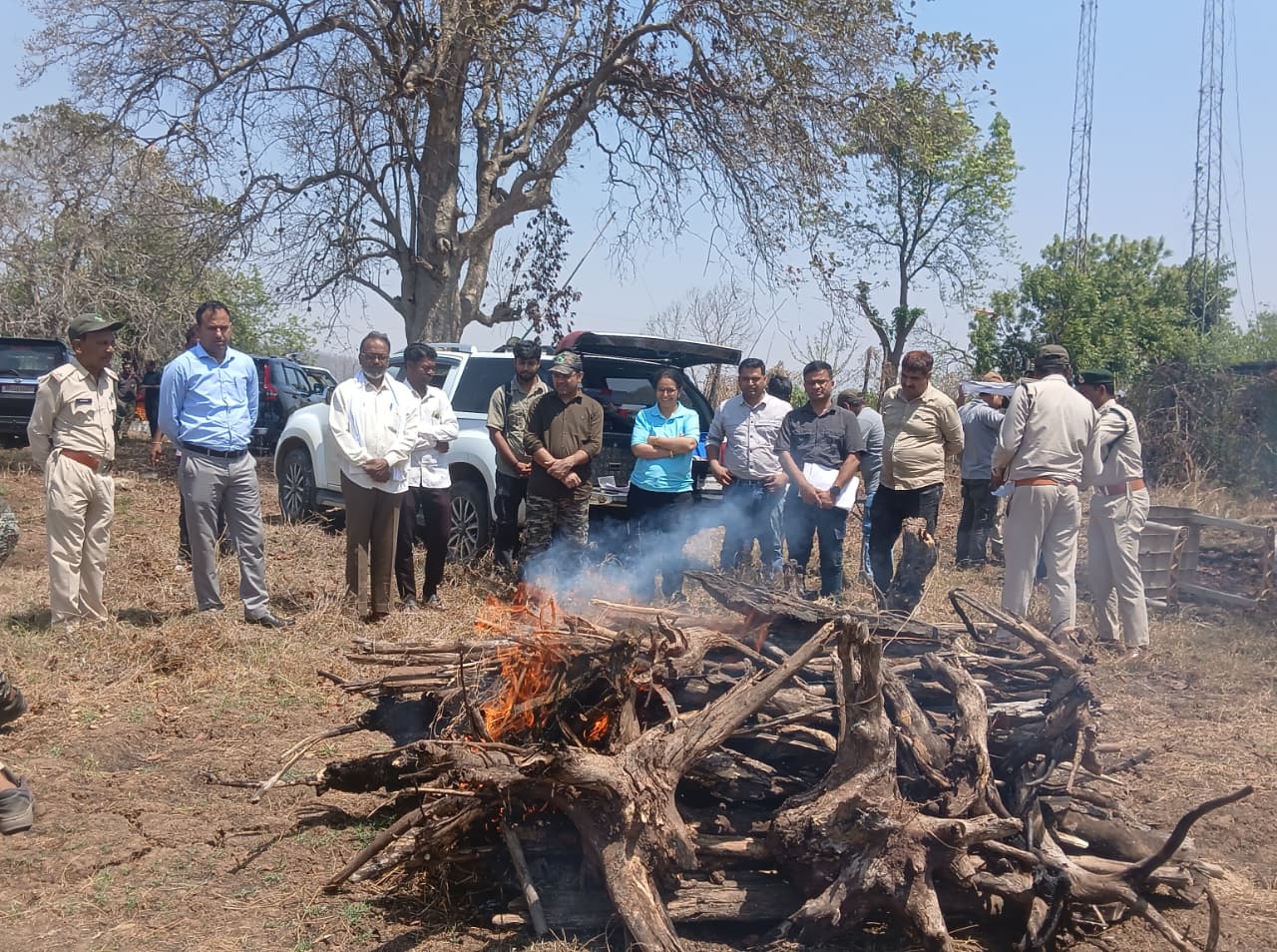 सतपुड़ा टाइगर रिजर्व में फिर बाघ शावक की मौत posted by Durgesh Bhatt from Hoshangabad