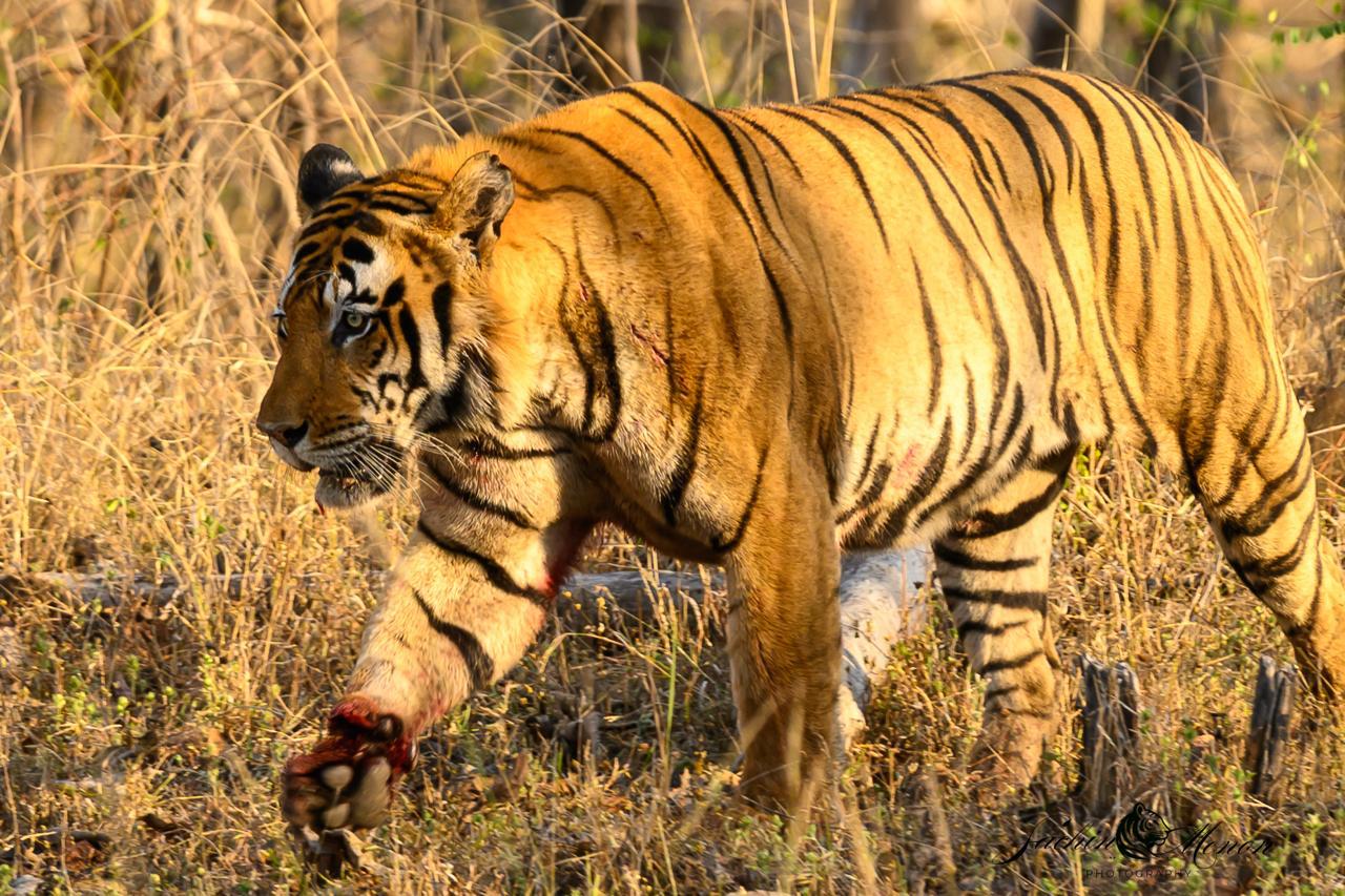 Additional News Image