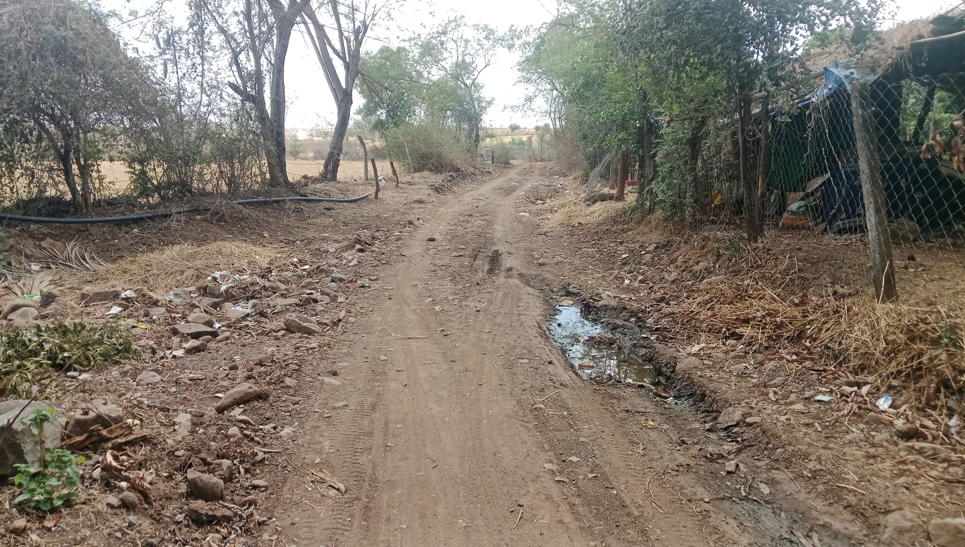 Additional News Image