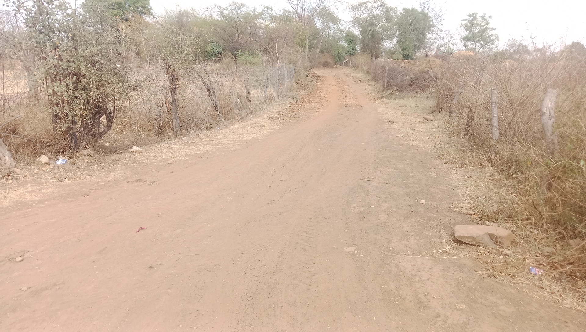 Additional News Image