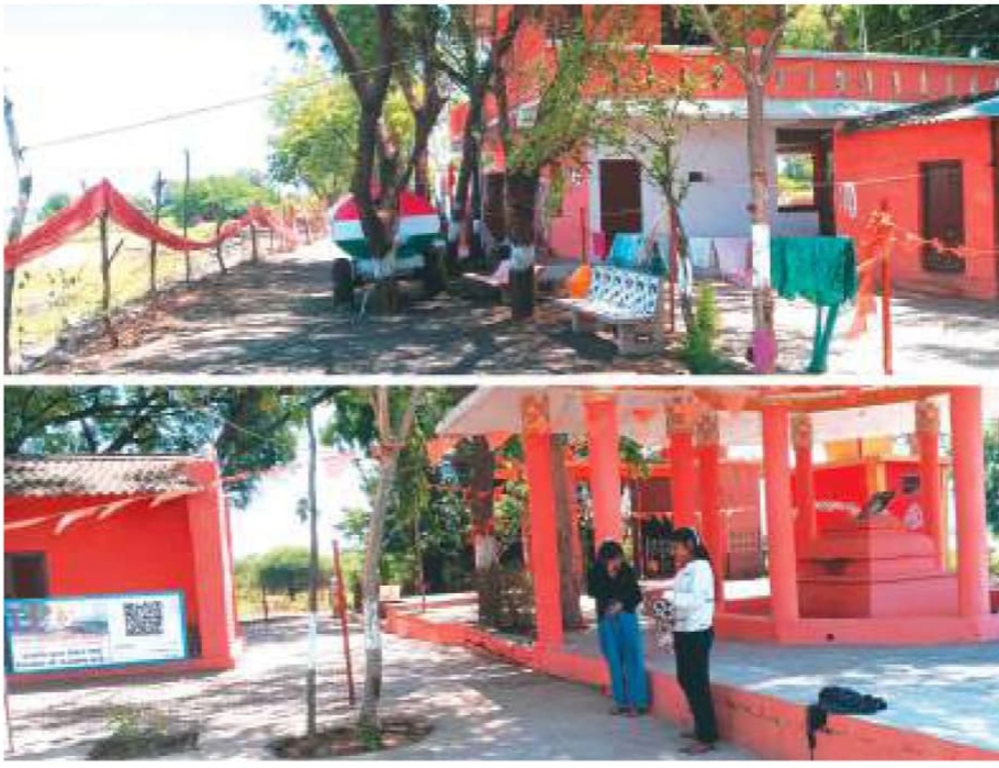 भीषण गर्मी में हरे-भरे पेड़ों की छांव का सुकून दे रहा मां नर्मदा जागीरदारपुरा घाट बैकवाटर में कमी से राजघाट तक आवाजाही शुरु,  posted by Lokesh Davde