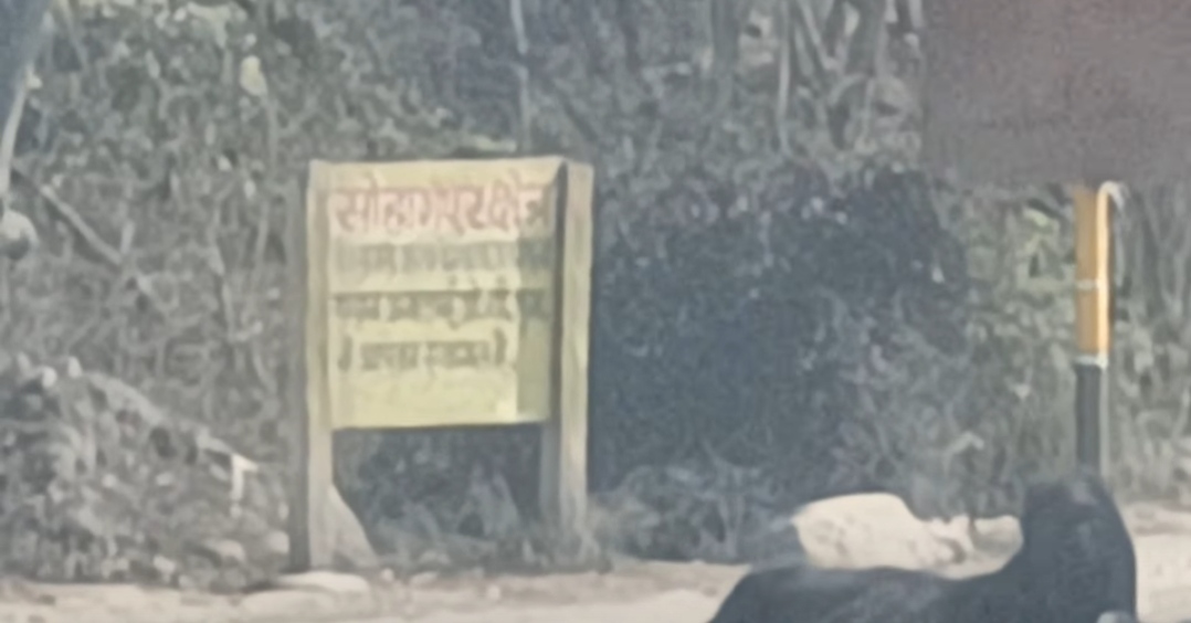 दूरदृष्टि और नेतृत्व का कमाल: जीएम वेंकटेश्वर रेड्डी के मार्गदर्शन में आरकेटीसी ने अमलाई ओपन कास्ट माइंस में रचा सफलता का नया इतिहास