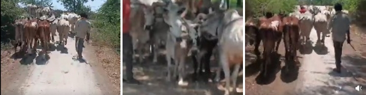 Additional News Image