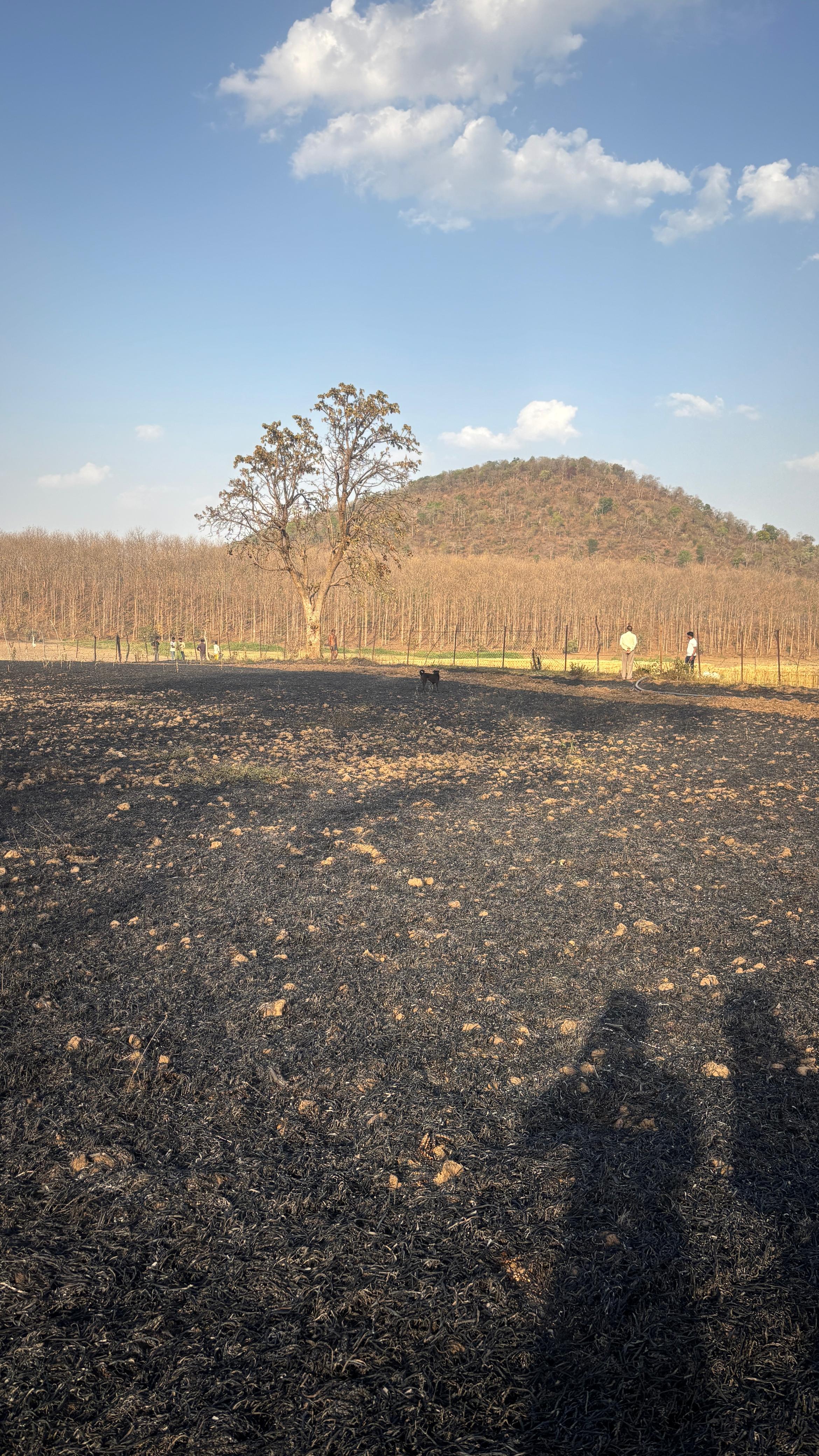 Additional News Image