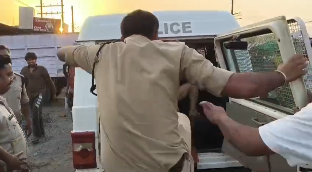 Additional News Image