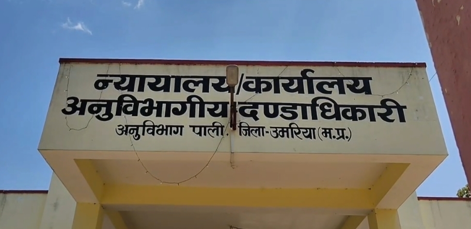 Additional News Image