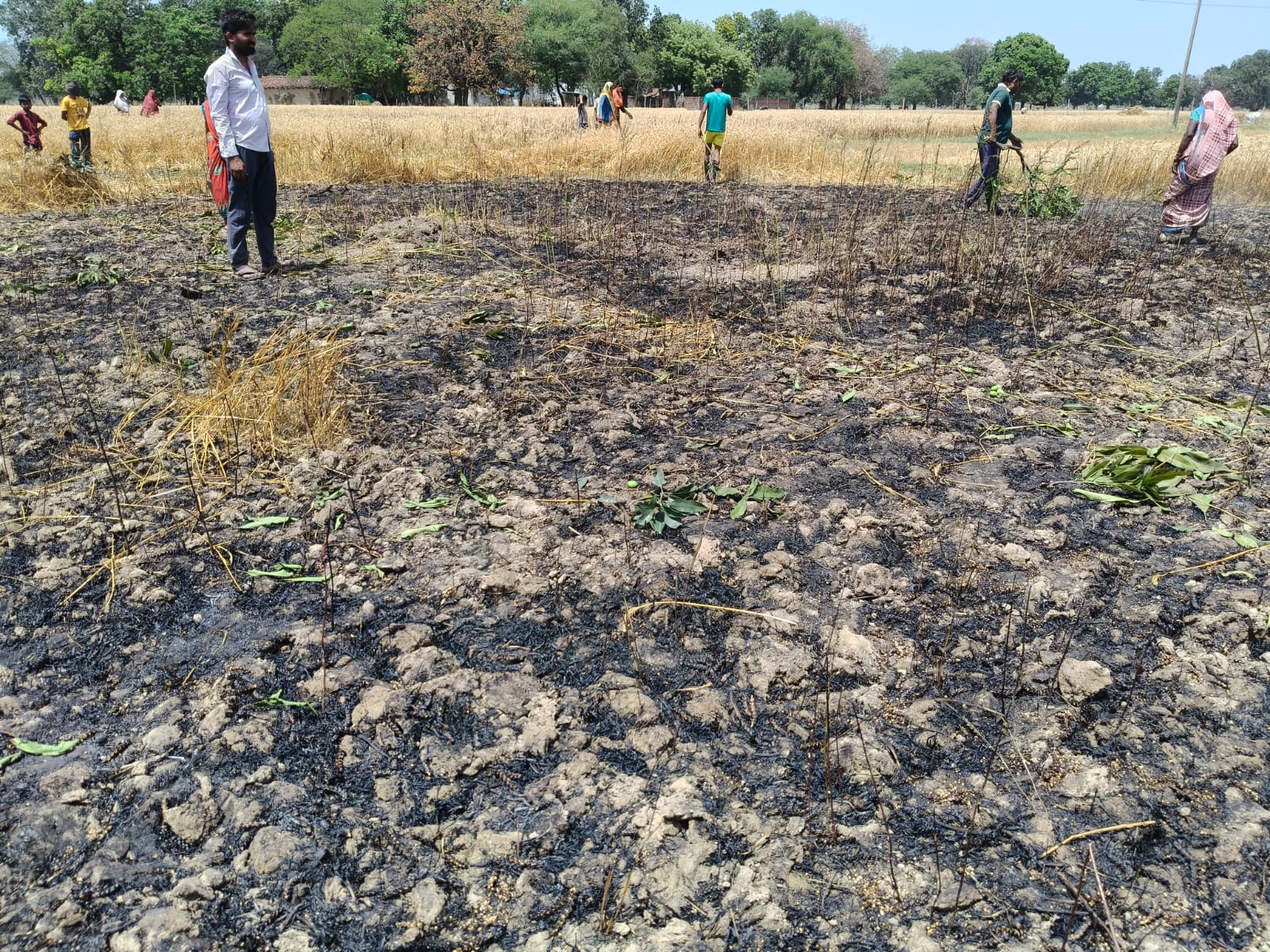 Additional News Image