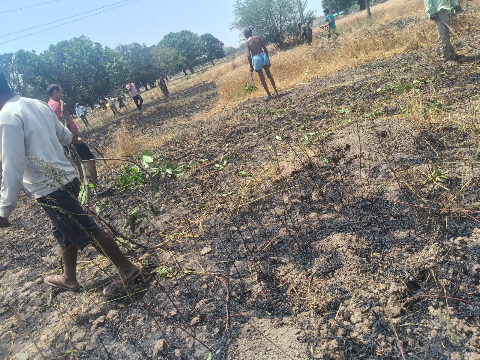 Additional News Image