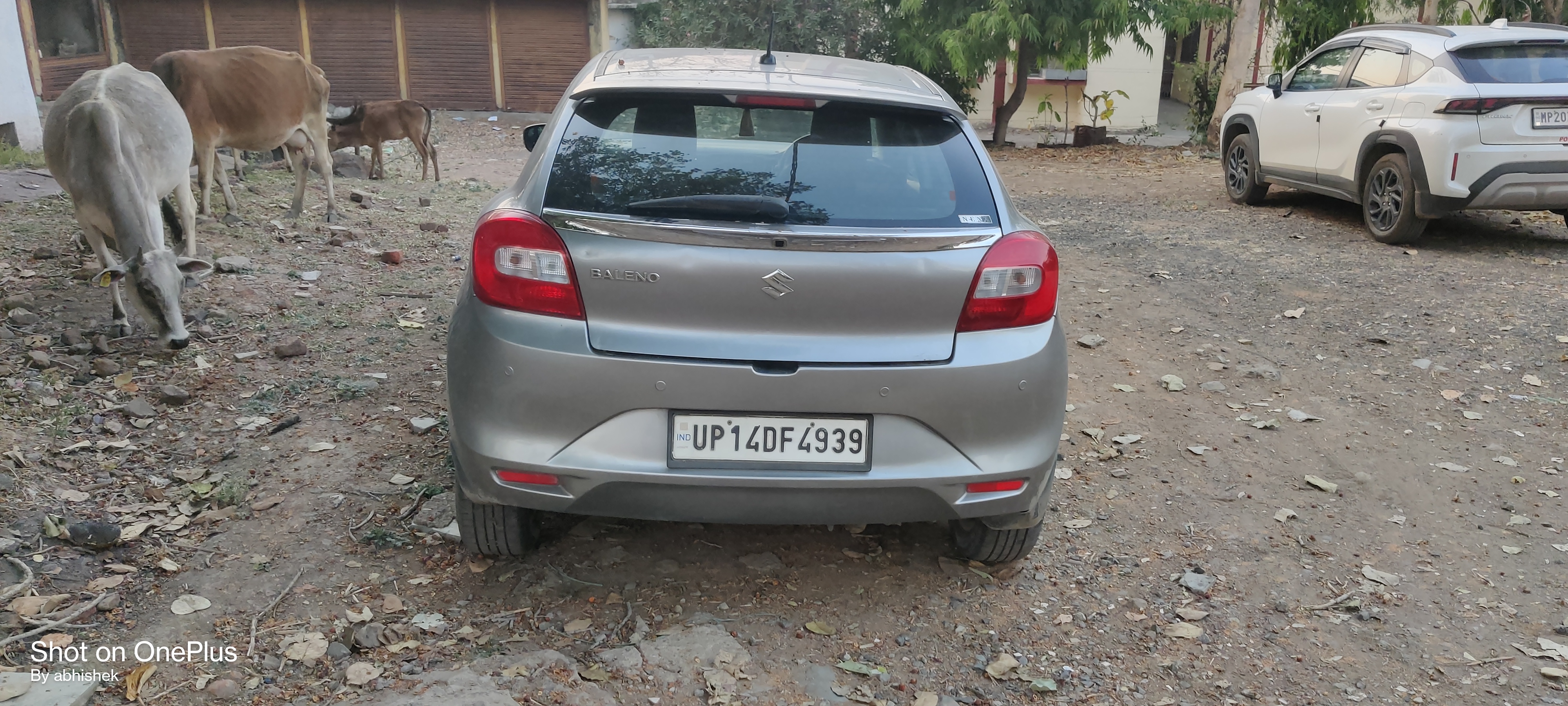 5 करोड़ के प्रलोभन में 28000 गवाएं  posted by Abhishek Jain from Bargi