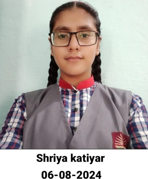 श्रिया कटियार ने 97.8% अंक हासिल कर रचा कीर्तिमान,केंद्रीय विद्यालय वायु सेना स्थल आमला का परीक्षा परिणाम रहा शत-प्रतिशत posted by Mohammad Asif Langha from Amla