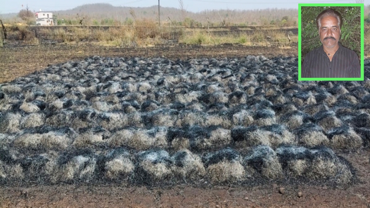 खेत में कटी रखी फसल और मोटरसाइकिल जलकर खाक: केसली के किसान ने सरकार से लगाई मुआवजे की गुहार posted by Manish Kumar Chaubey from Sagar