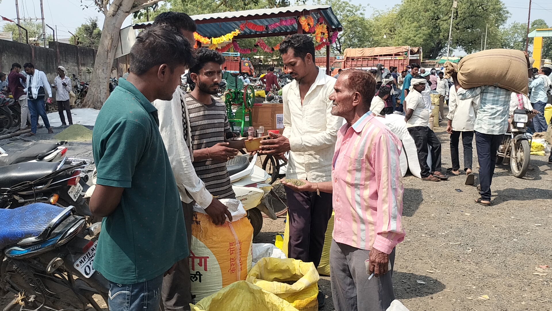 सौफ की खरीदी रही फीकी, बेभाव दाम लगाने से किसान हुए मायूस ,क्वालिटी का हवाला देकर झाड़ रहें व्यापारी पल्ला। कम भाव से नही निकल रहा खर्चा  posted by Lokesh Davde
