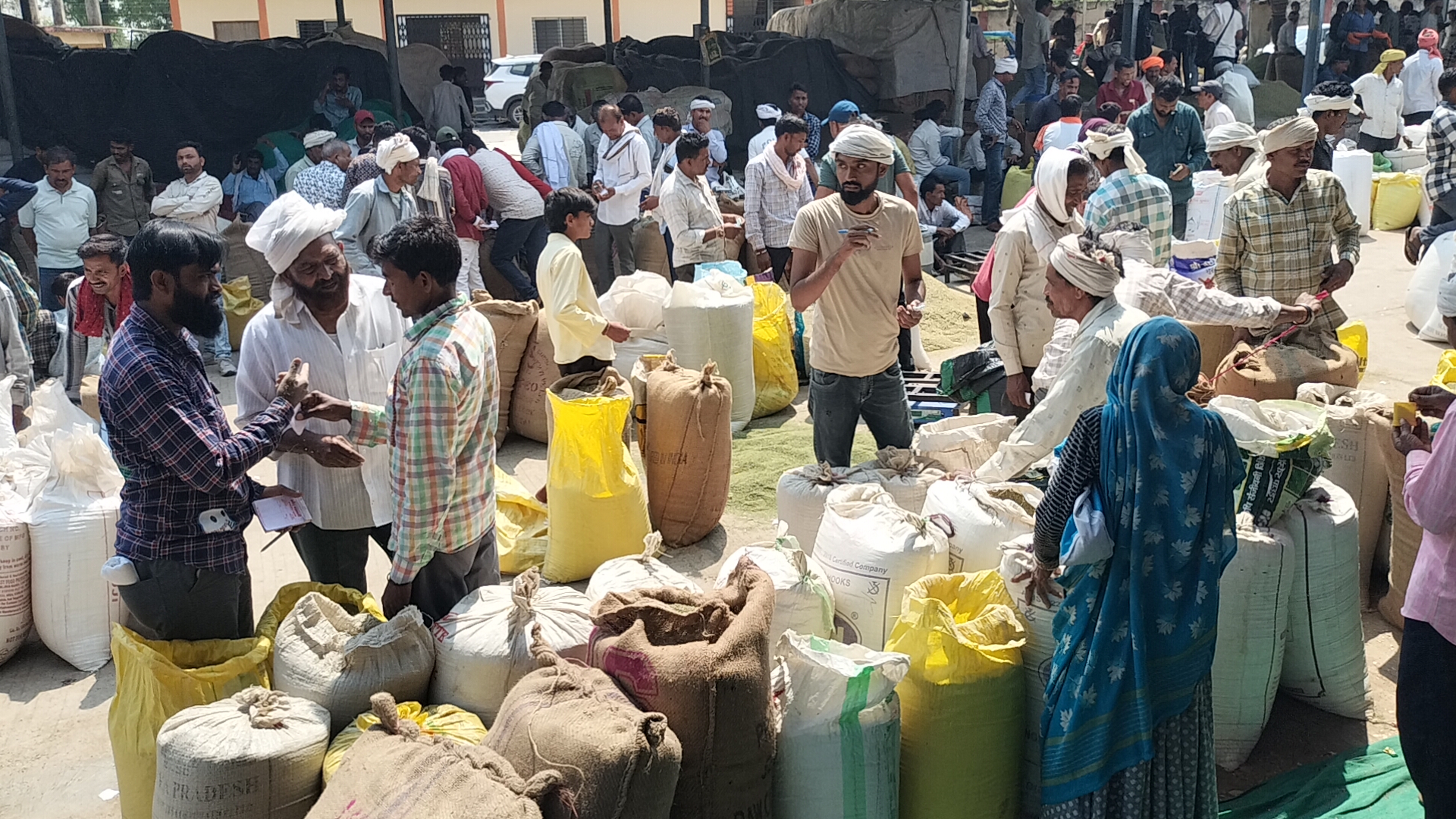 Additional News Image