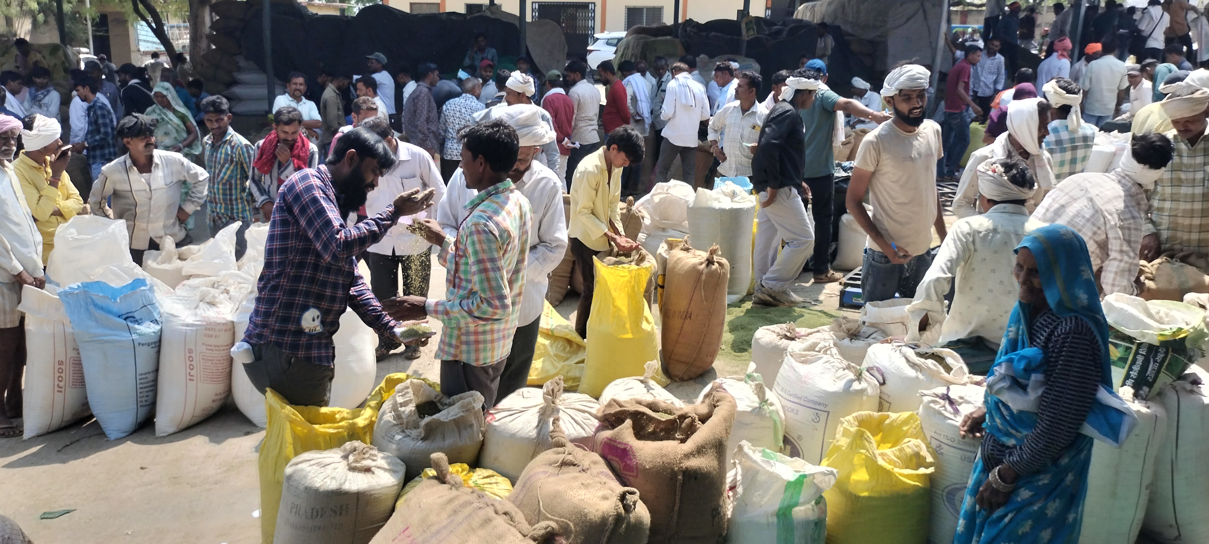 Additional News Image