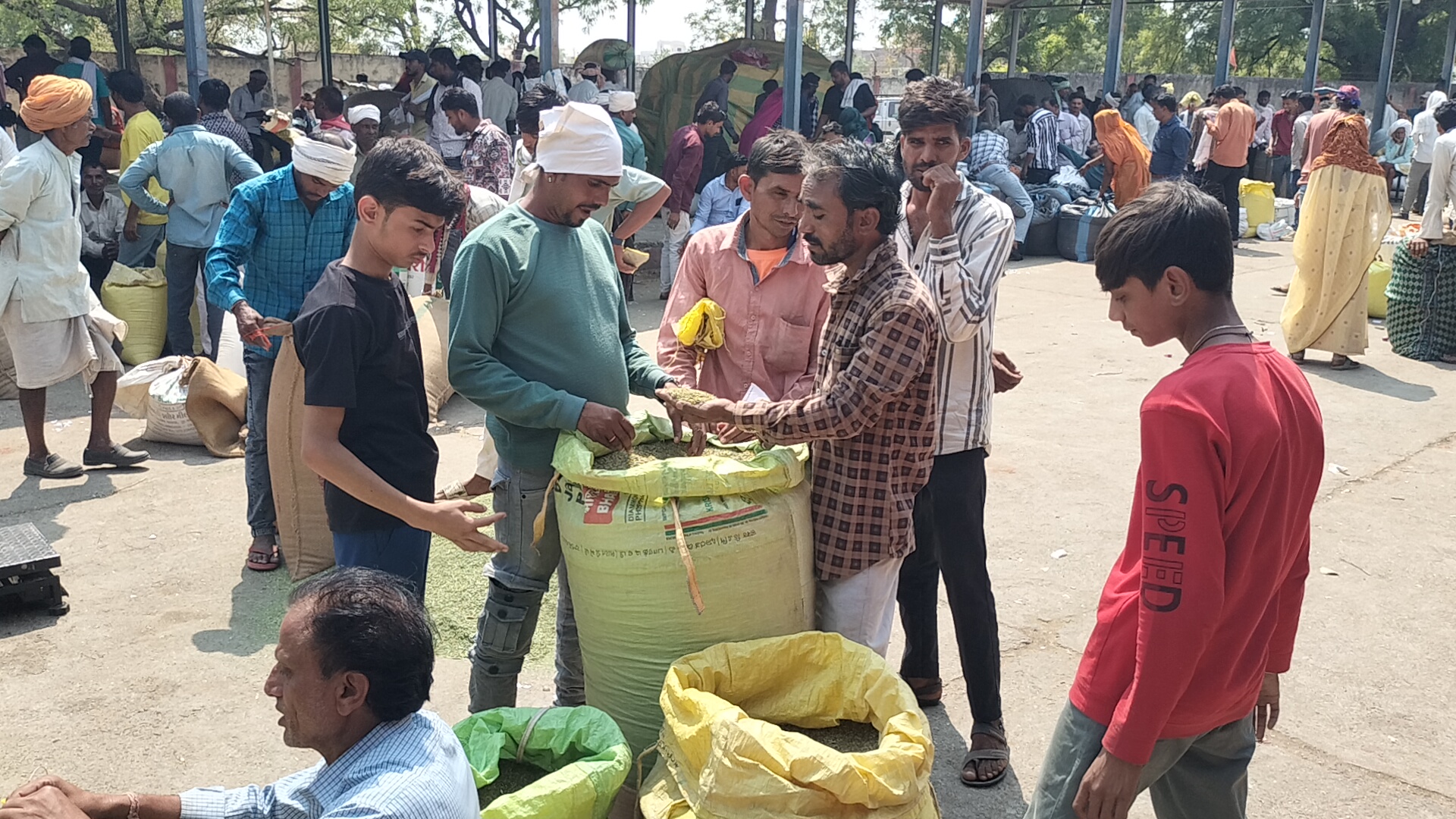 Additional News Image