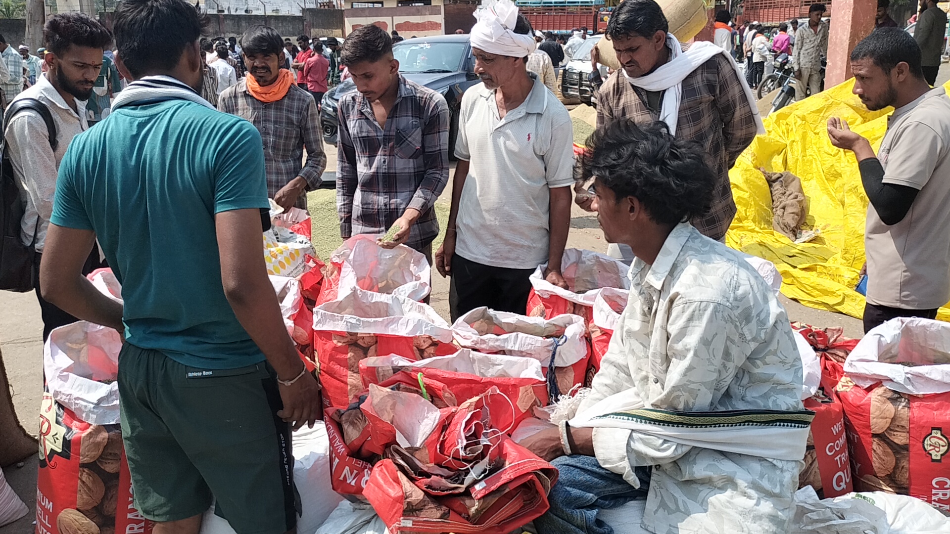 Additional News Image