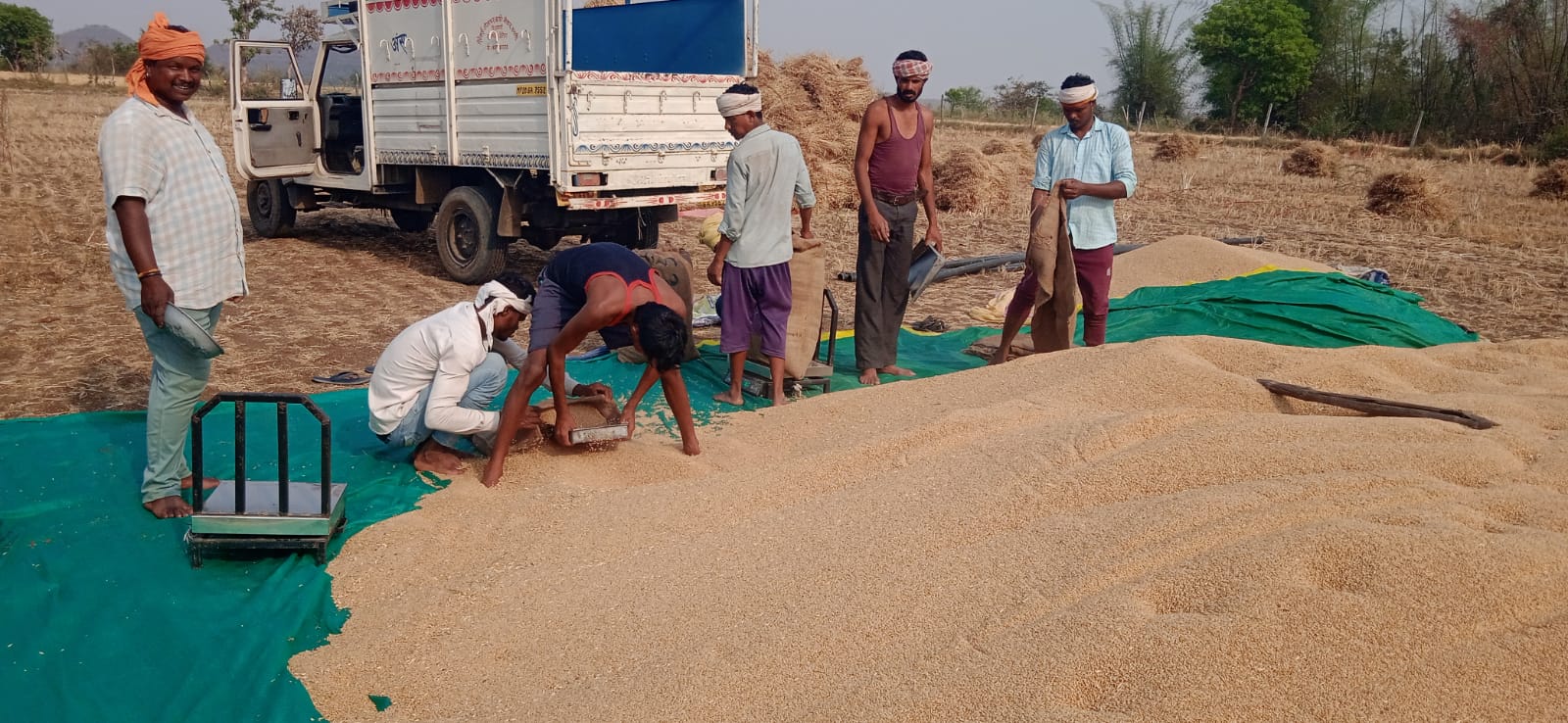 Additional News Image