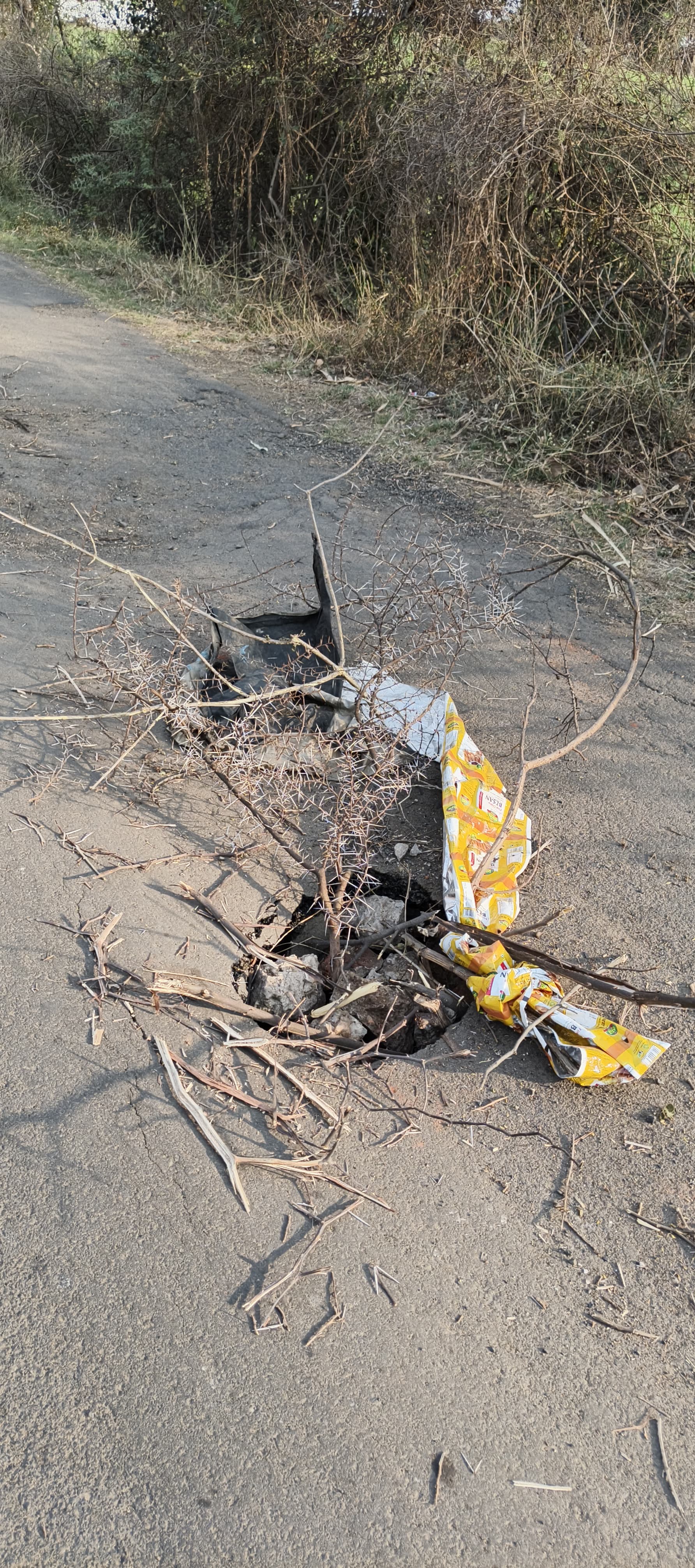 आमला-रमली मार्ग पर ‘मौत का गड्ढा’: प्रशासन की अनदेखी के खिलाफ विहिप-बजरंग दल ने खोला मोर्चा posted by Mohammad Asif Langha from Amla