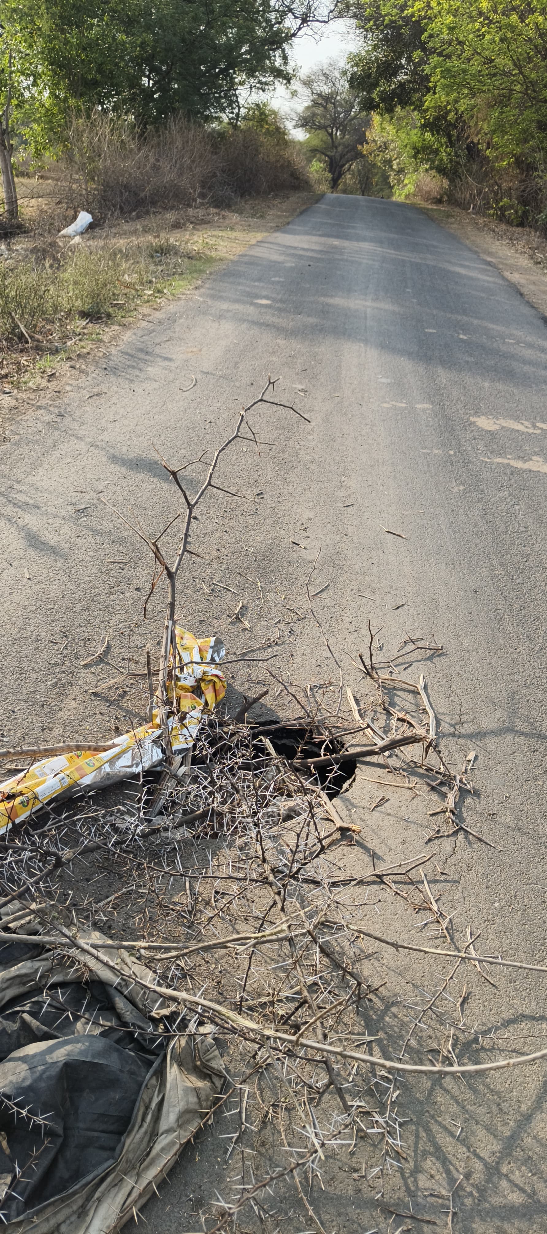 Additional News Image