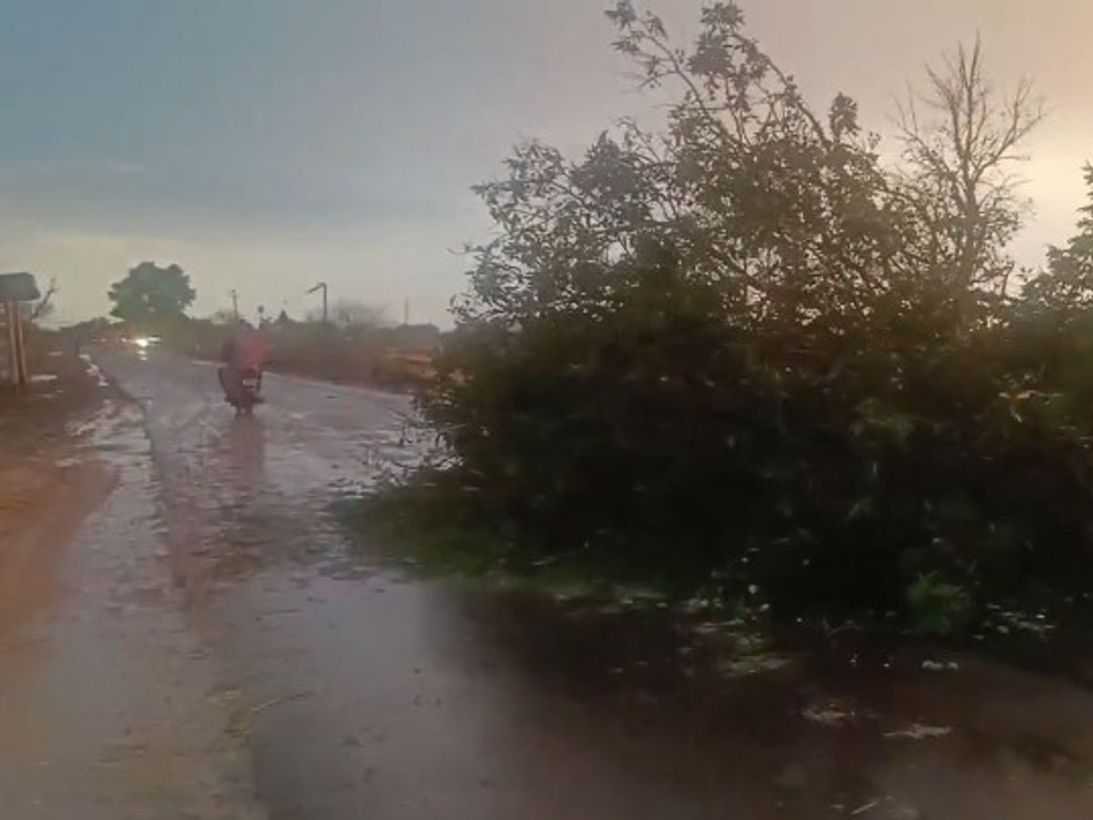 तेज हवाओं से पन्ना अमानगंज मार्ग अवरुद्ध