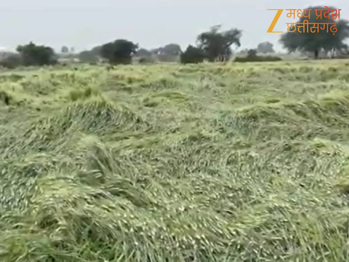 सागर: फसलों की सुरक्षा के लिए किसानों को कमिश्नर की चेतावनी