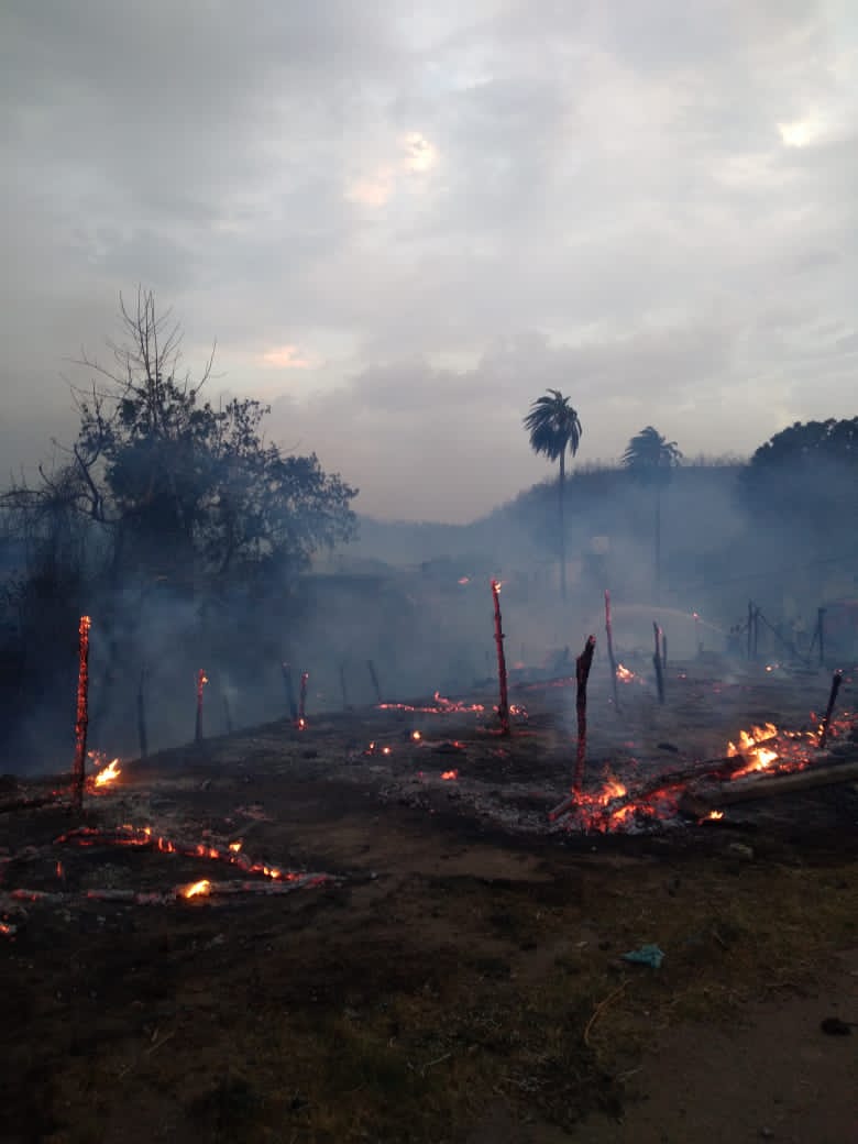 भीषण अग्निकांड में चार से अधिक मकान और 12 से अधिक मवेशियों की कोठे जलकर हुएखाक*