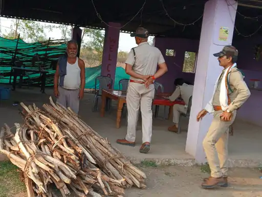 पवई में वन विभाग का 'सर्जिकल स्ट्राइक': ढाबों पर अवैध लकड़ी के खिलाफ बड़ी कार्रवाई, पर्यावरण तस्करों की कमर तोड़ने की तैयारी