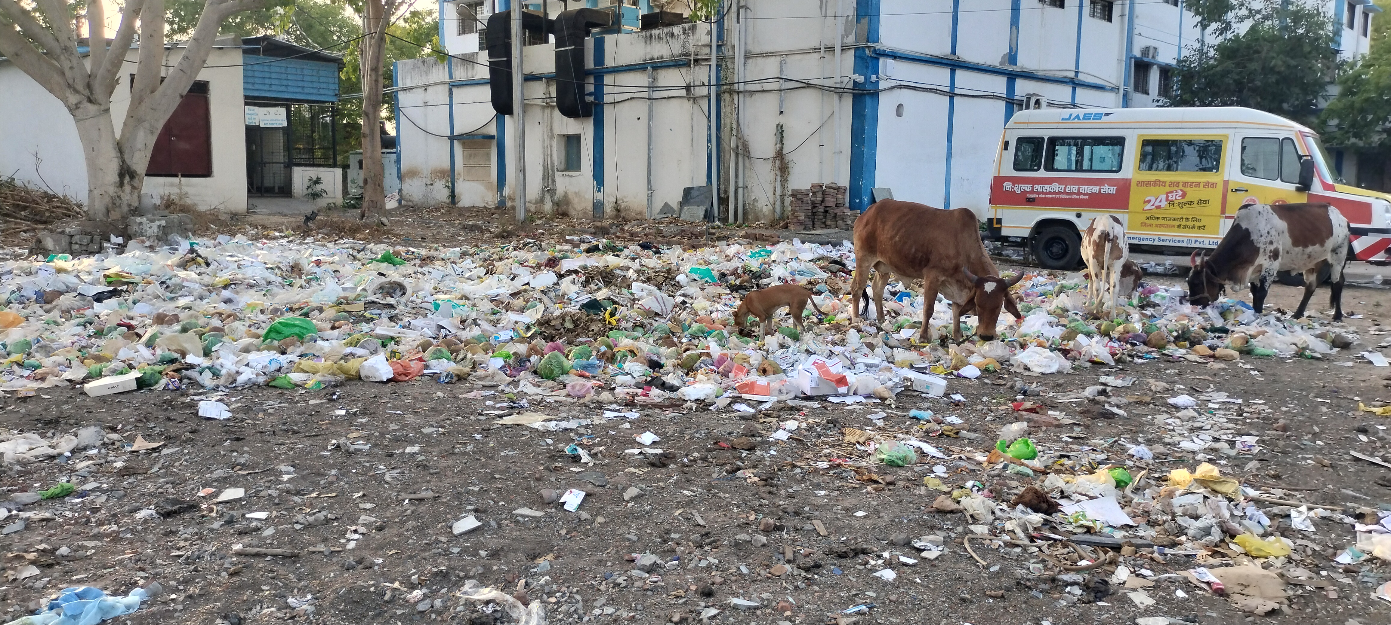 *बड़वानी-परिसर में कचरा अड्ढा, अस्पताल भवन के सामने जल जमाव, व्यवस्था पर उठते सवाल-हाल ए जिला अस्पताल, 