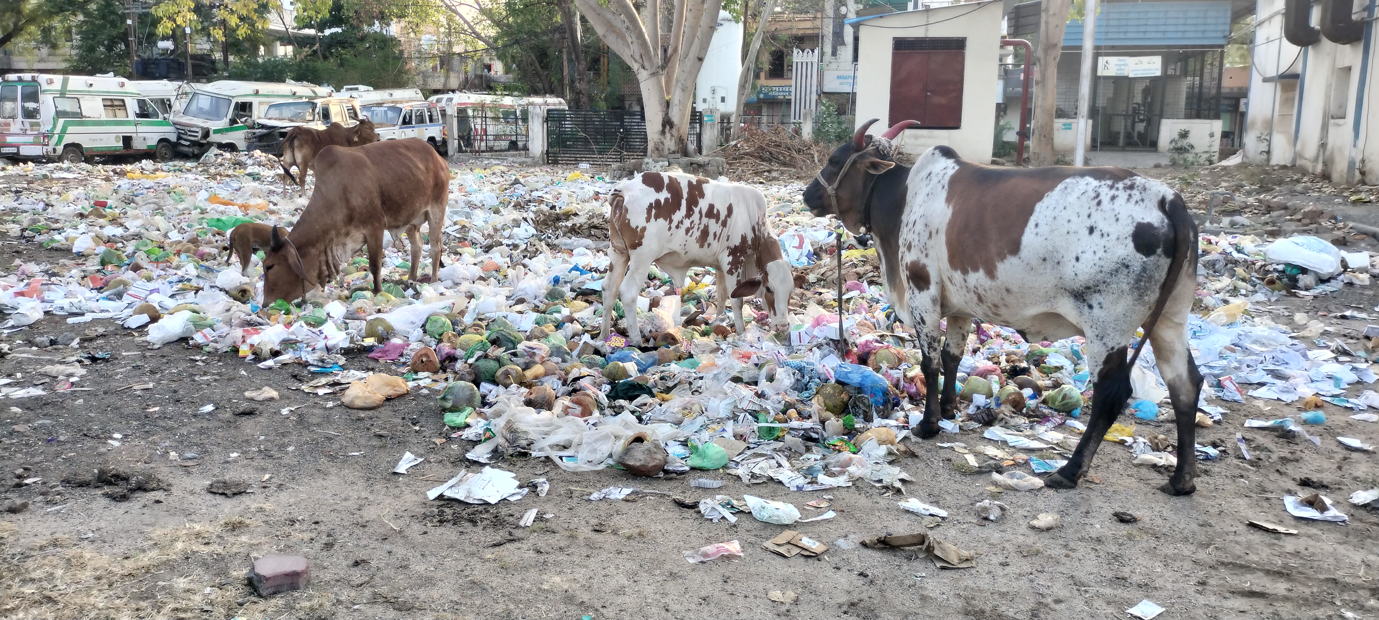 *बड़वानी-परिसर में कचरा अड्ढा, अस्पताल भवन के सामने जल जमाव, व्यवस्था पर उठते सवाल-हाल ए जिला अस्पताल, 