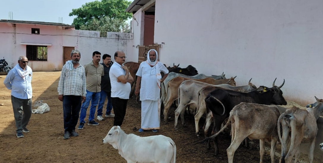 रमपुरवा की गौ शाला बनी मिसाल