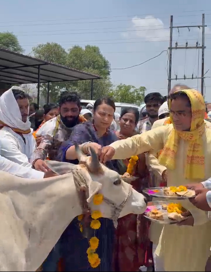 गौ तस्करी के खिलाफ़ विधायक विजय चौरे का अनूठा प्रदर्शनमोह पुलिस की आरती