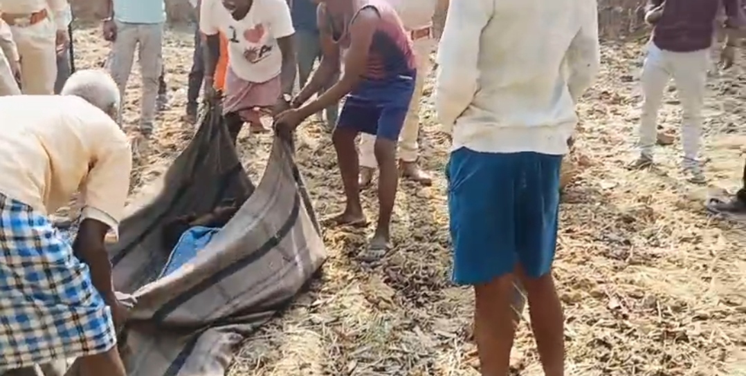 शहडोल  में जंगली हाथी का आतंक अब जानलेवा साबित ह
