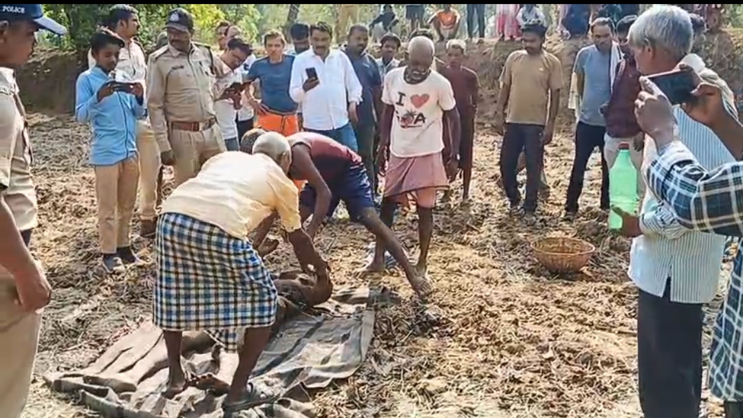 शहडोल  में जंगली हाथी का आतंक अब जानलेवा साबित ह