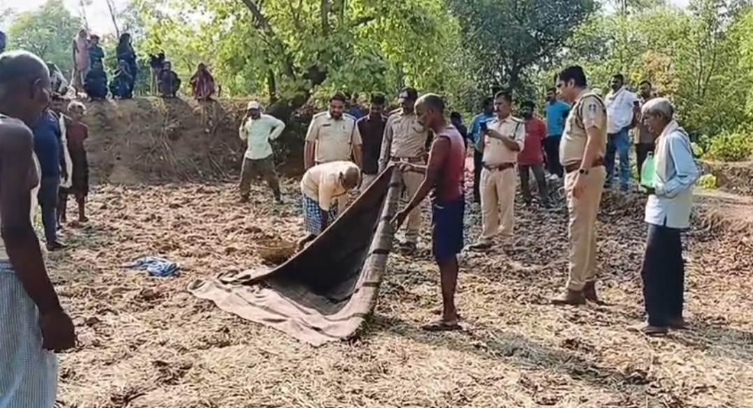 शहडोल  में जंगली हाथी का आतंक अब जानलेवा साबित ह