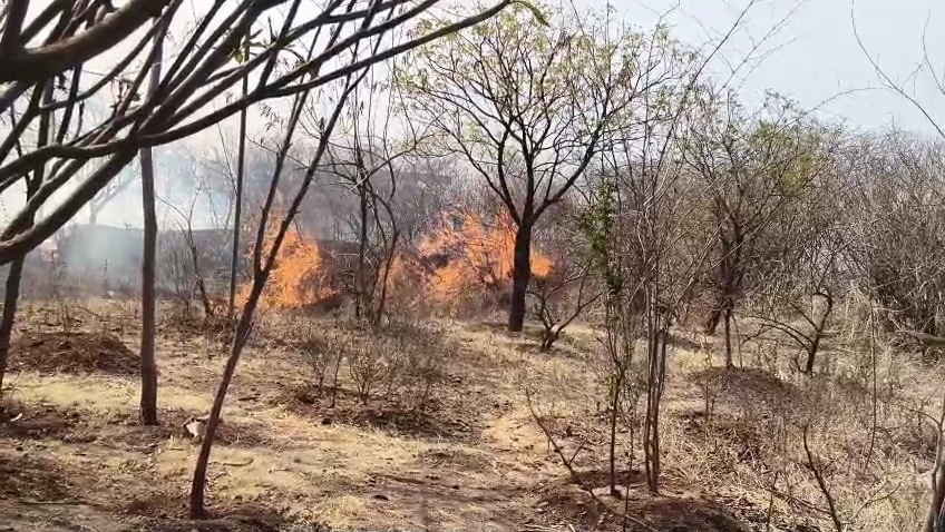  प्रसिद्ध माता टेकरी पर शुक्रवार दोपहर में अचानक लगी भीषण ।