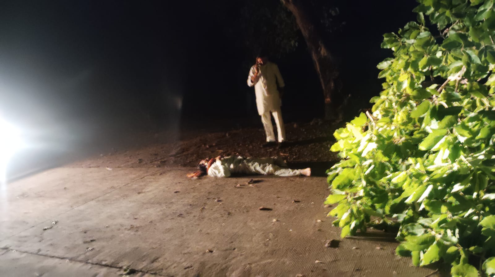सड़क हादसे में फरिश्ता बने जिला पंचायत उपाध्यक्ष: आधी रात आंधी में गिरे पेड़ से टकराए बाइक सवार की बचाई जान