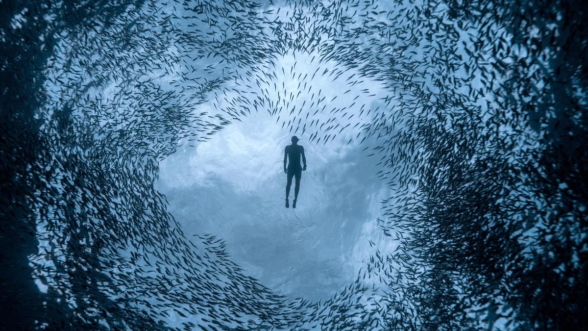 Dive into Breath Holding Art with Freediving Workshops in Hyderabad