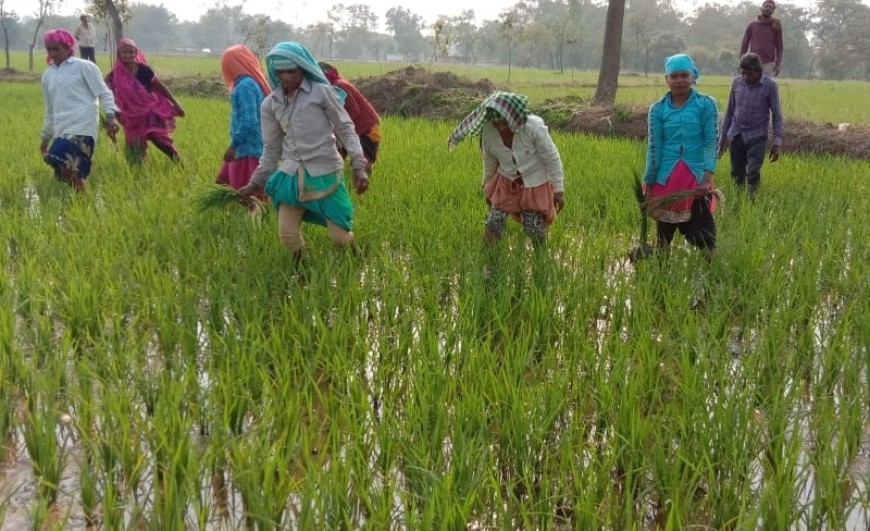 किसान अन्नदाता या वोटदाता ?