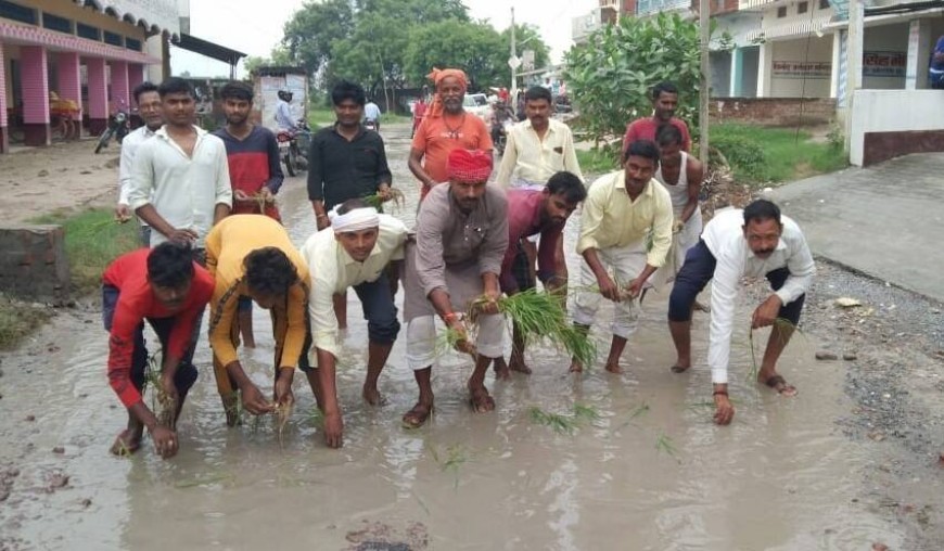 सड़क पर धान की बुआई
