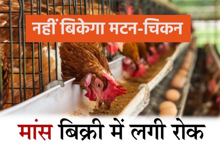 5 दिन नहीं बिकेगा मांस-मटन