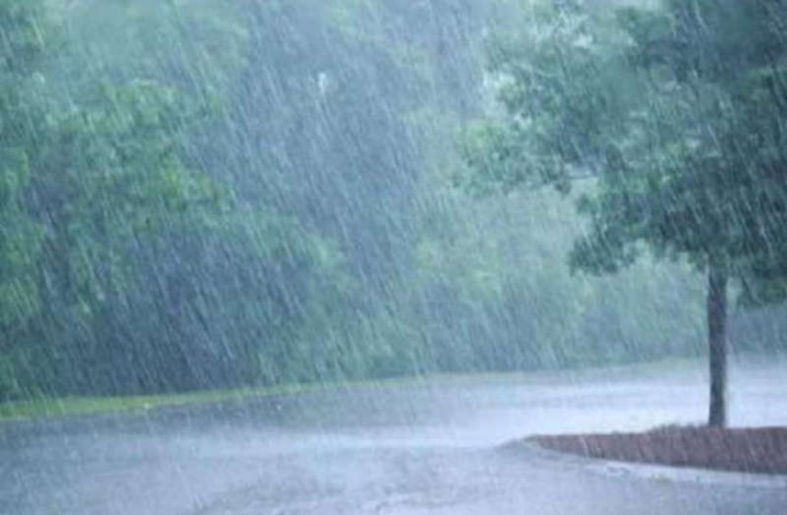 फिर एक्टिव में मानसून,इन जिलों में अलर्ट