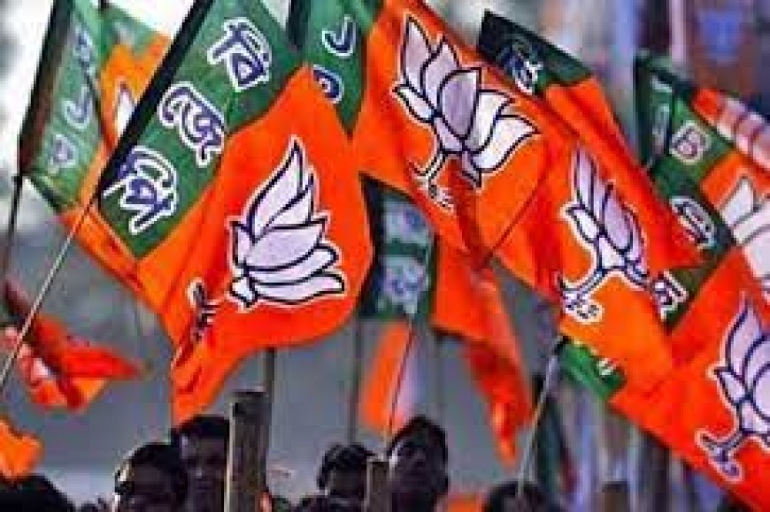 आज  जारी होगा बीजेपी का संकल्प पत्र
