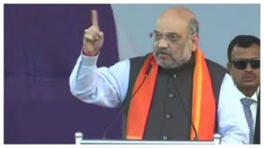 बीजेपी के मध्य प्रदेश में जीत पर, अमित शाह बोले जीत का कारण  बीजेपी है।
