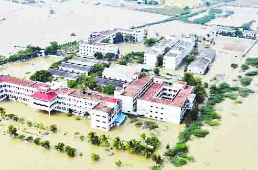 सिकुड़ता वसंत पारिस्थितिकी तंत्र के लिए चुनौती