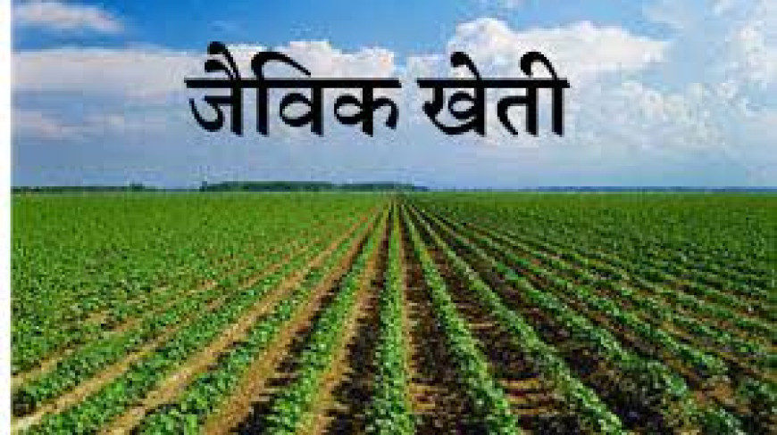 मप्र के कृषि उत्पादों का यूरोप में बजेगा डंका