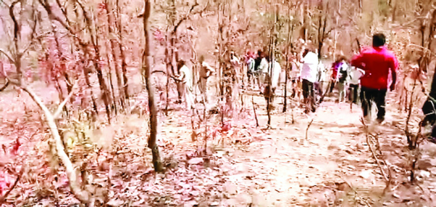 पड़ताल शुरू सुबह महुआ बीनने के लिए गए लोगों ने दी पुलिस को सूचना, बाघ का रेस्क्यू किया वहां क्षत-विक्षत शव मिला